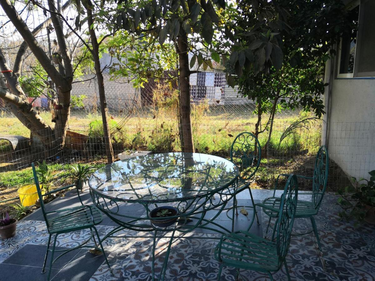 MonteAlbán house Bed and Breakfast Oaxaca Buitenkant foto